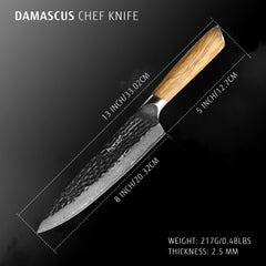 Hecef Japanese Chef Knife, Forged 67-Layer Damascus Steel Ultra Sharp Professional Hammered Carving Knife