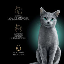 Cat food variety pack with a gray cat and health feature icons