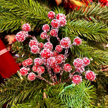 Frosted red berry ornament clusters on twig stems with white sugar-like texture.