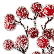 Frosted red berries on twig stems with white speckled coating.