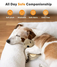Grey plush squirrel dog toy tucked between a dog's paws, visible curled tail
