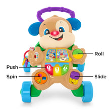 Interactive puppy walker toy with ABC letters, spinning buttons, slide and roll parts