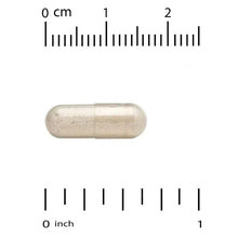 Nattokinase capsule sample with measurement scale showing length