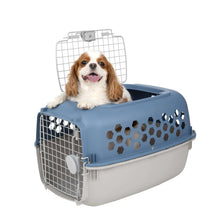 Blue plastic pet kennel with dog inside, top ventilation grille, and hex side openings.