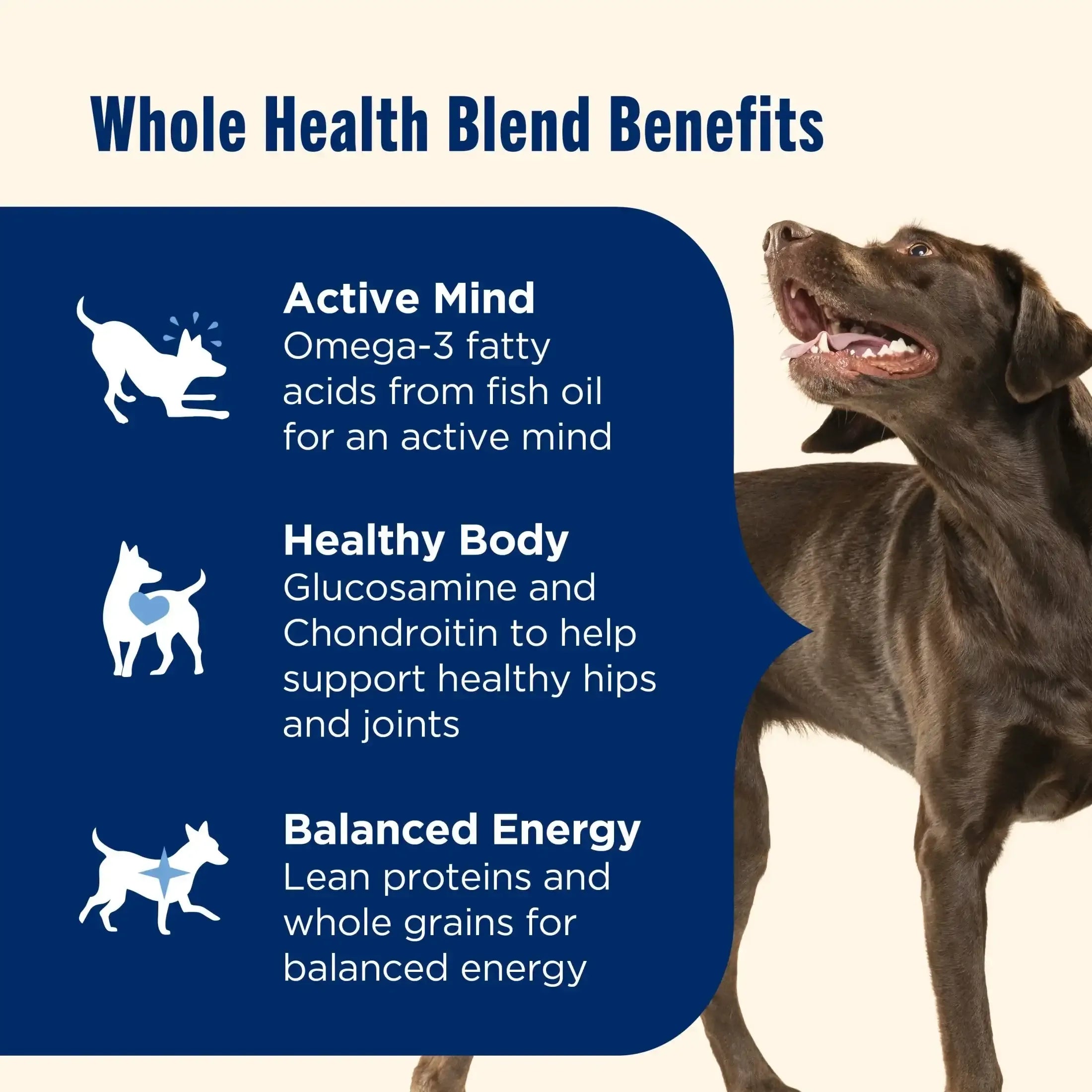 Nutrish Large Breed Real Beef, Pea, Carrot & Brown Rice Recipe Whole Health Blend Dry Dog Food, 14 lb. Bag (Rachael Ray) - USA MEGA SHOP