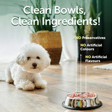 Wet dog food topper in a bowl with gravy, next to a small white dog