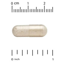 Softgel capsule, Sunflower Phosphatidylserine, shown with inch size scale