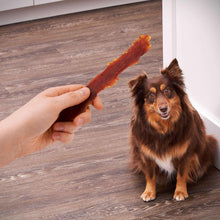 Duck jerky treat stick held near a small dog