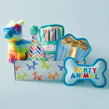 Dog toy bundle with rainbow unicorn, birthday cake, party hat, bone, and box