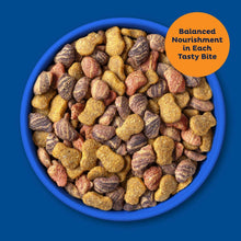 Bowl of dry cat food kibble in assorted colors and shapes