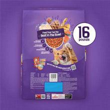 Purina Friskies Surfin & Turfin Favorites dry cat food bag, back panel view, 16 lb