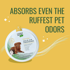 Citrus Magic Pet Deodorizing Solid Air Freshener for Pet Homes, Fresh Citrus - 8 oz