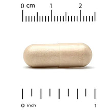 Beige veggie reishi capsules, shown beside size ruler markings