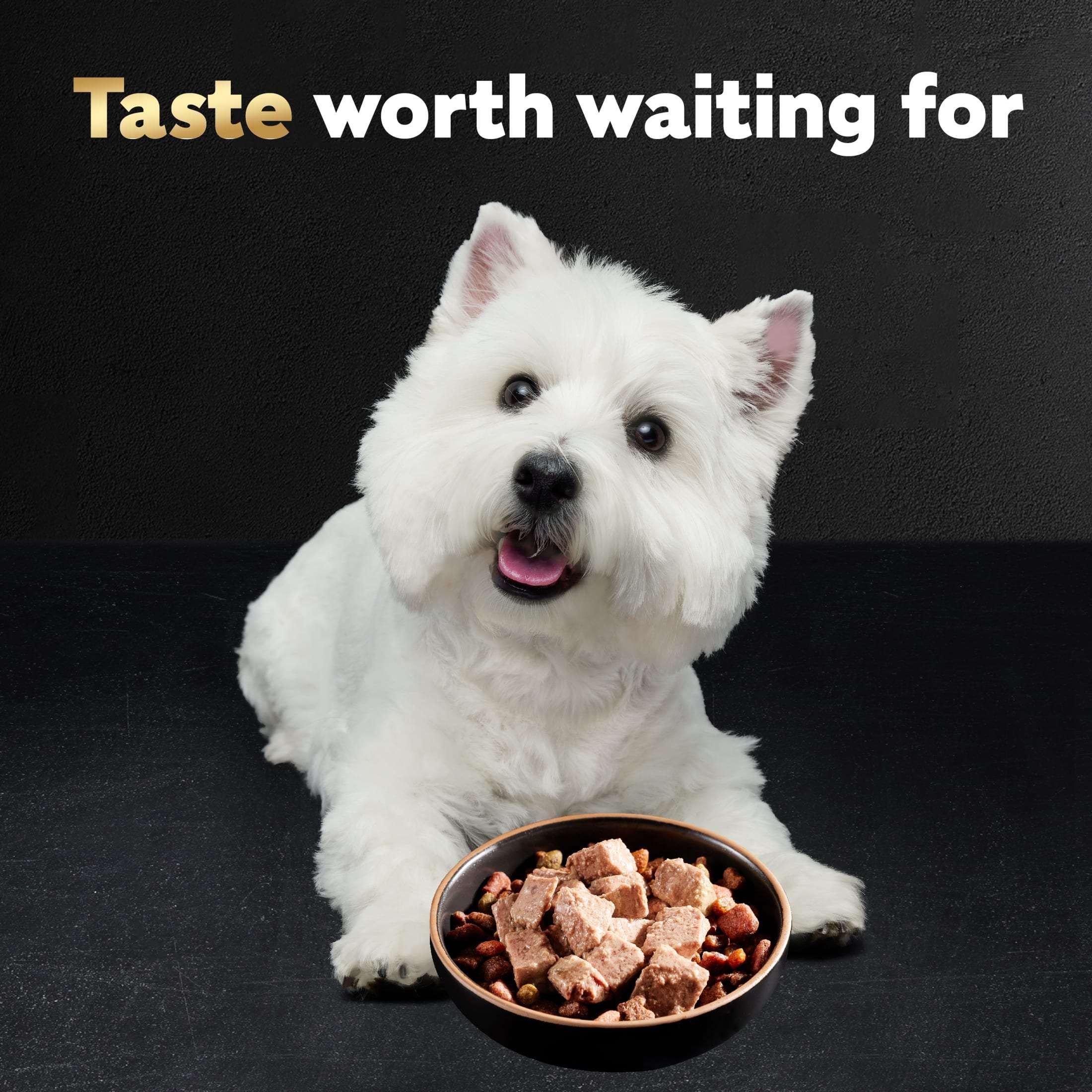 Cesar Classic Loaf In Sauce Wet Dog Food Variety Pack, 3.5 Oz Trays (24 Pack)