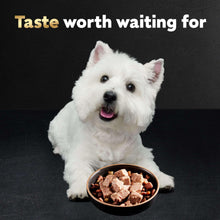 Wet dog food bowl with white dog sitting, meat chunks in sauce