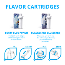 Berry blue punch and blackberry blueberry flavor cartridge packs with instructions icons