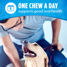 Dog biting dental chew with 'One chew a day' oral health label