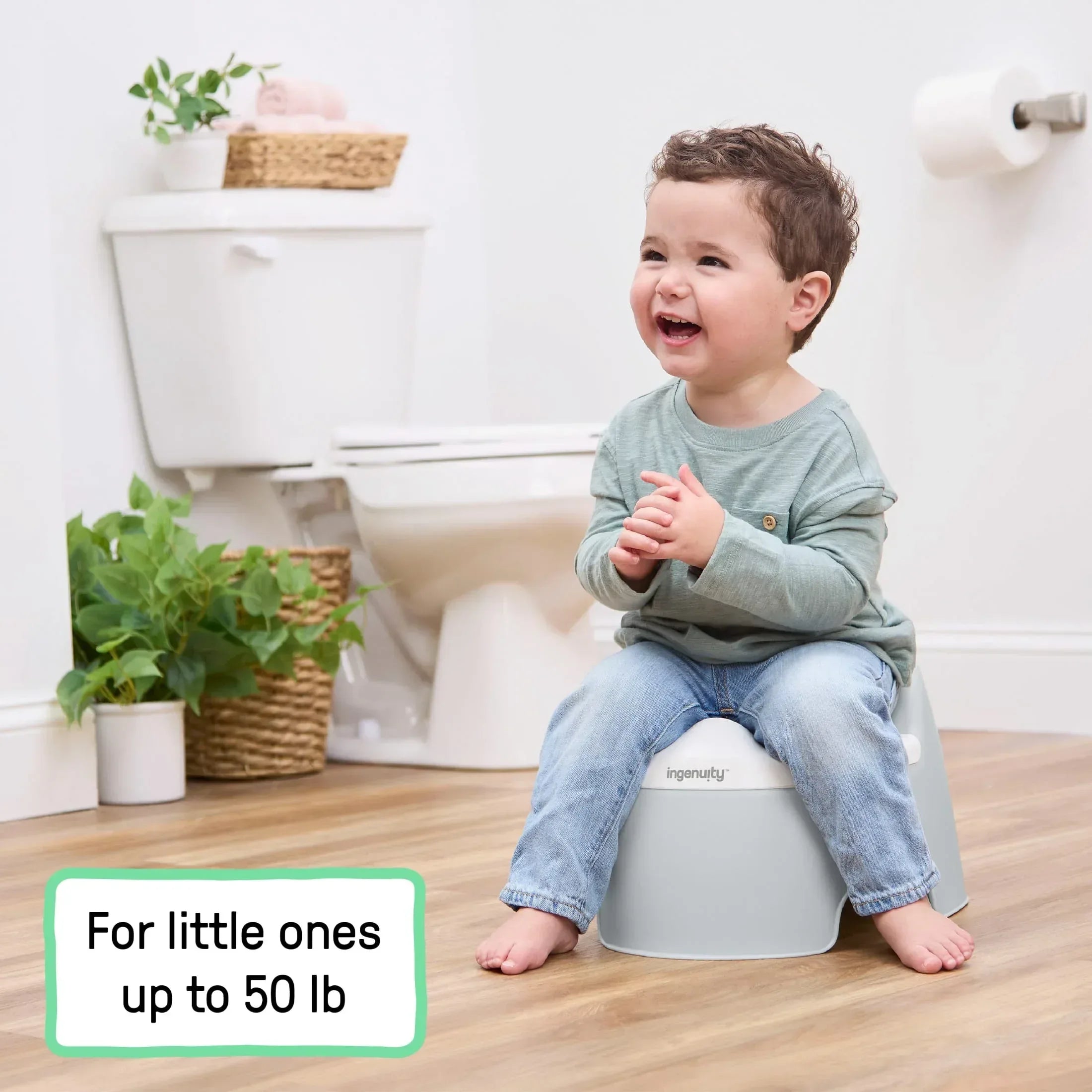 Ingenuity Full Comfort Toddler Training Potty