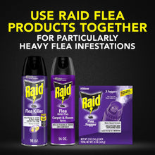 Raid flea products set with two spray cans and one flea-fogger package.