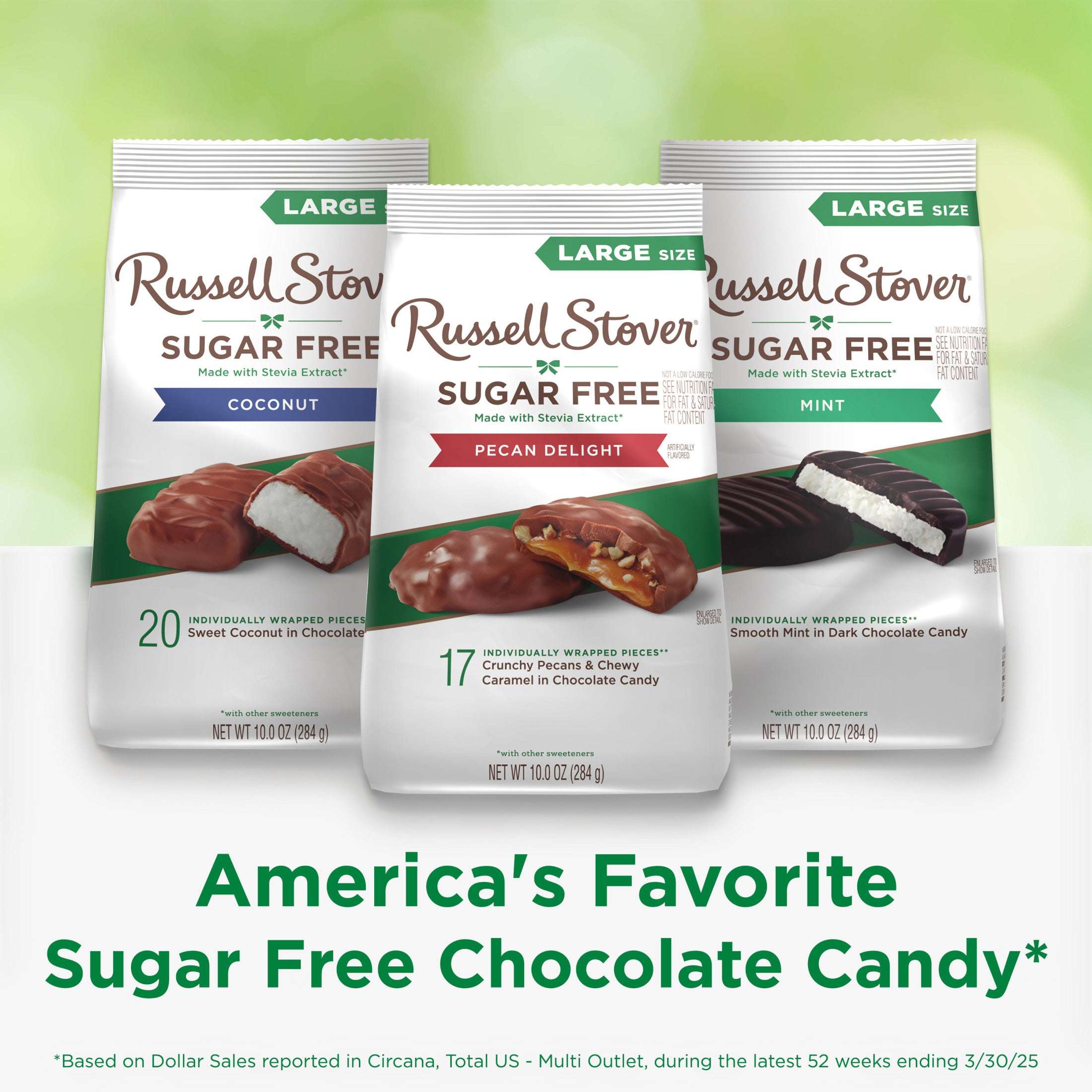 RUSSELL STOVER Sugar Free Pecan Delight Chocolate Candy, 10 oz. bag
