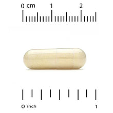 Beige veggie capsule with measurement scale