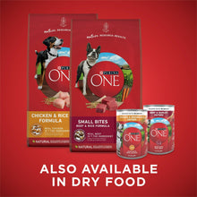 Purina ONE wet dog food variety pack with multiple can labels and carton