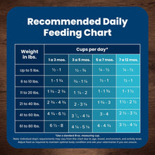 Recommended daily feeding chart for Blue Buffalo dry dog food on bag
