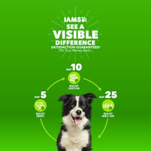 Iams dry dog food with lamb and rice, shown with a dog mascot