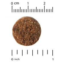 Brown round dog soft chew beside inch ruler