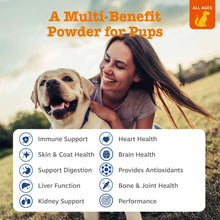 Dog multivitamin powder benefits graphic with six health icons