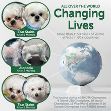 Two small dogs with globe graphic, highlighting effects for grain-free dog food