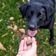 Small brown soft chew treat held in hand in front of a black dog