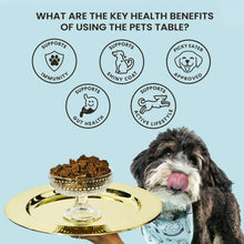 Air-dried dog food bowl with dog portrait and key health benefit icons.