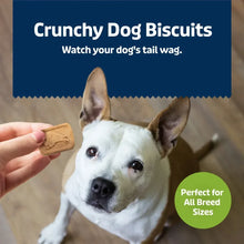 Crunchy dog biscuits being offered to a dog from a Blue Buffalo Health Bars bag