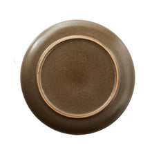 Brown stoneware dinner plate with inner ring detail and speckled glaze