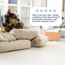 Dog resting on couch in a room with promotional Febreze Plug scent message
