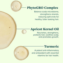 Hair treatment ingredients graphic with PhytoGRO Complex, apricot kernel oil, and turmeric