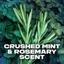 Crushed mint and rosemary scented men’s liquid body wash with green herb design