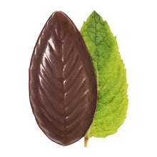 Dark chocolate oval mint with a green peppermint leaf beside it