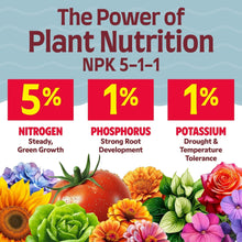 Plant nutrition chart for NPK 5-1-1 with nitrogen 5%, phosphorus 1%, potassium 1%.