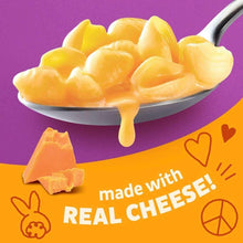 Cheddar cheese sauce on pasta shells in a spoon with cheese cubes