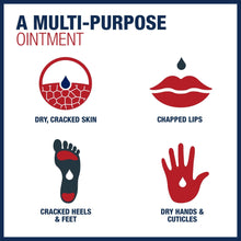 Multi-purpose ointment icons for dry, cracked skin and chapped lips