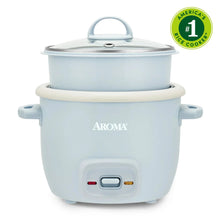 Blue rice cooker and food steamer with lid, base, and control panel