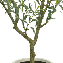 Artificial olive tree trunk with green leaves and branching, in white planter