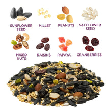 Wild bird seed mix with sunflower seeds, millet, peanuts, safflower, raisins, cranberries