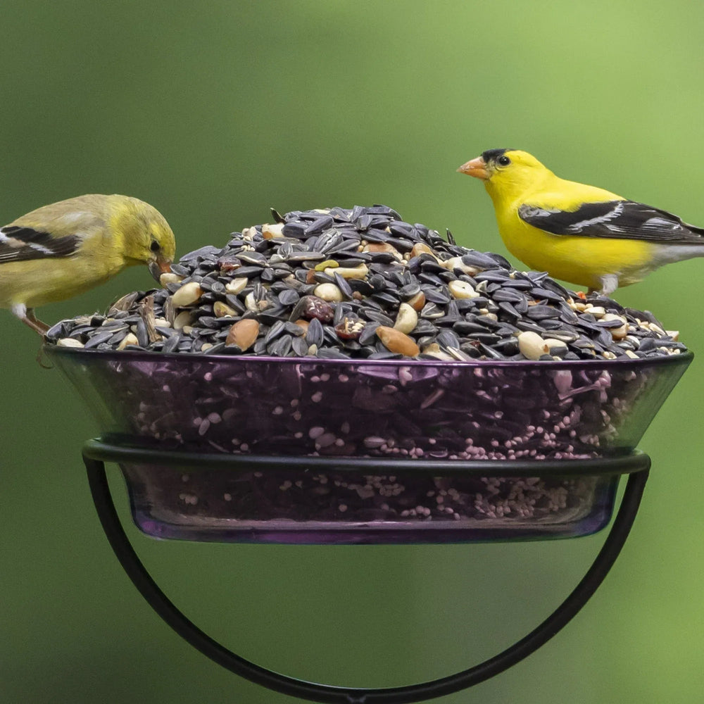 Audubon Park Nut, Fruit & Berry Wild Bird Food, Dry, 1 Count per Pack, 15 lb. Bag - USA MEGA SHOP