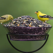 Birds feeding on mixed seed blend in a hanging metal tray feeder