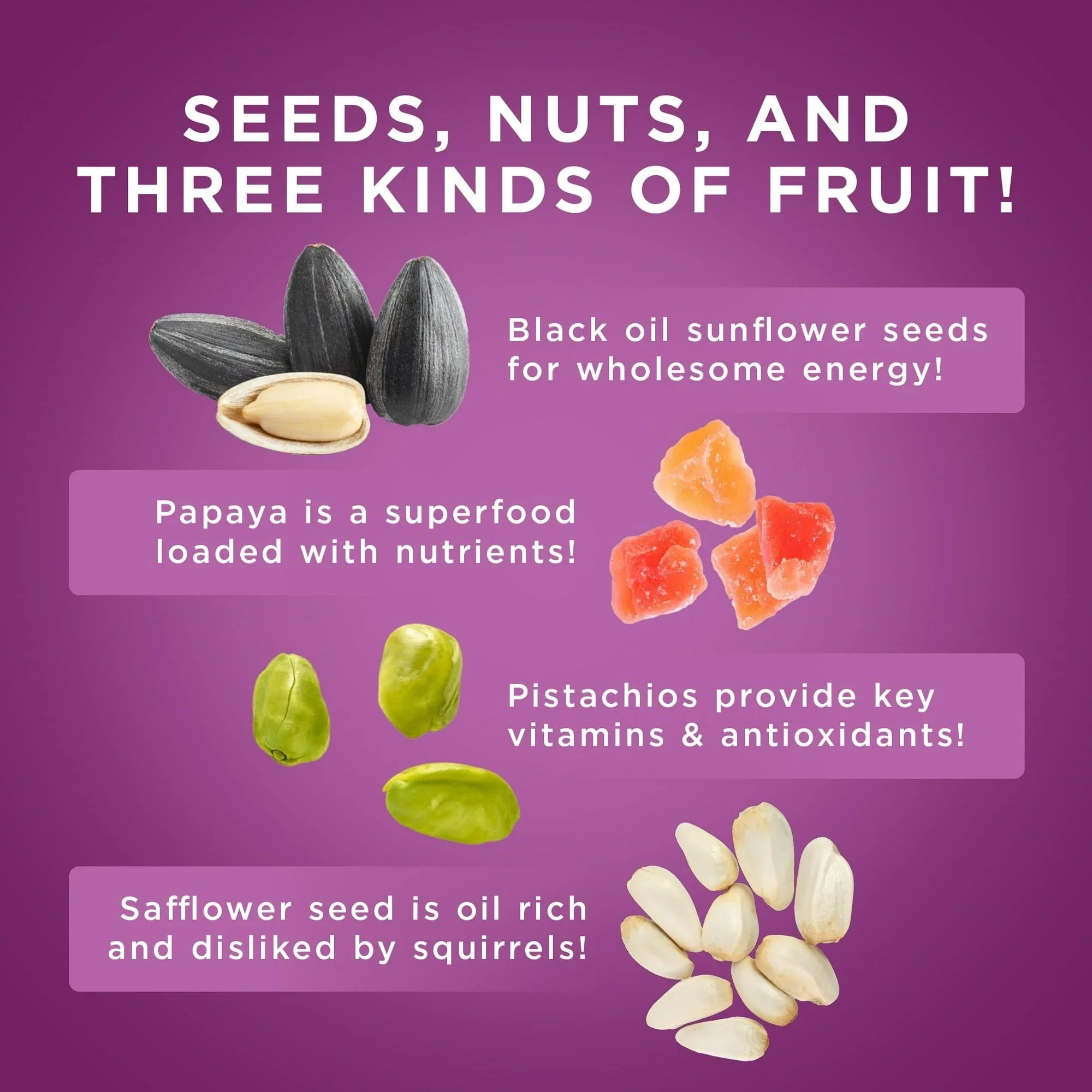 Audubon Park Nut, Fruit & Berry Wild Bird Food, Dry, 1 Count per Pack, 15 lb. Bag - USA MEGA SHOP