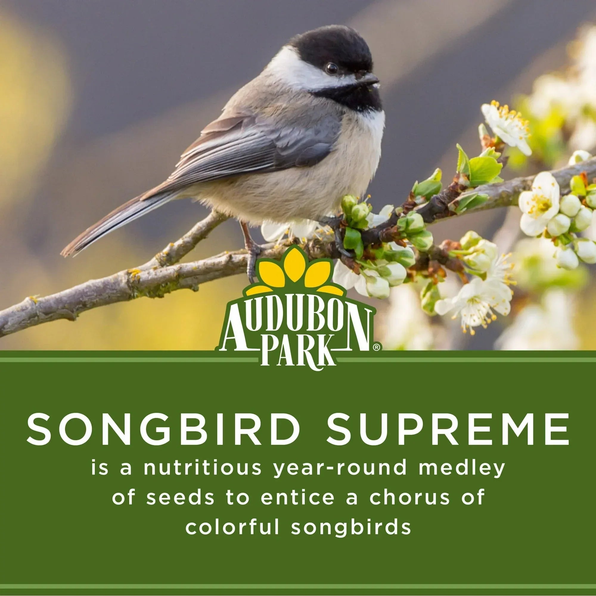 Audubon Park Songbird Supreme Wild Bird Food, Dry, 1 Count per Pack, 15 lbs.