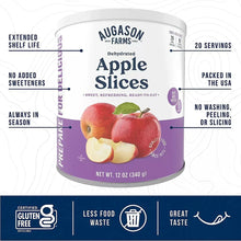 Dehydrated apple slices can front with gluten-free and shelf-life badges